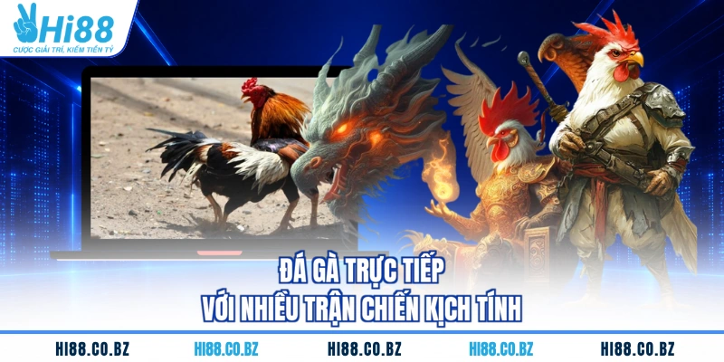 Đá gà trực tiếp với nhiều trận chiến kịch tính
