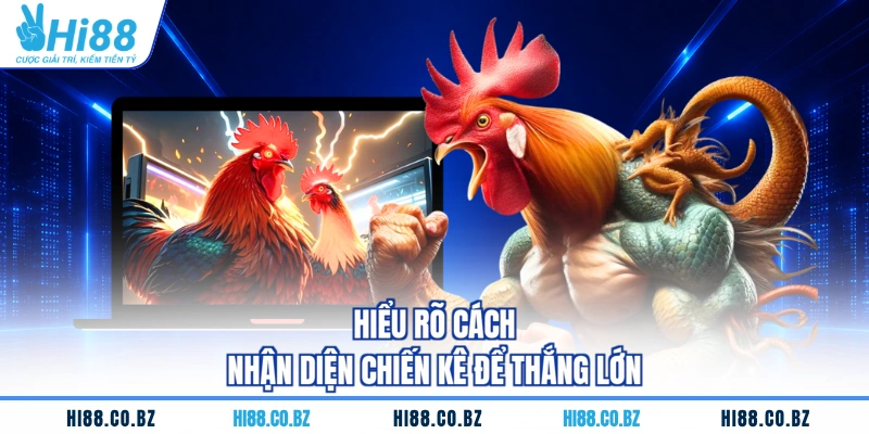 Hiểu rõ cách nhận diện chiến kê để thắng lớn