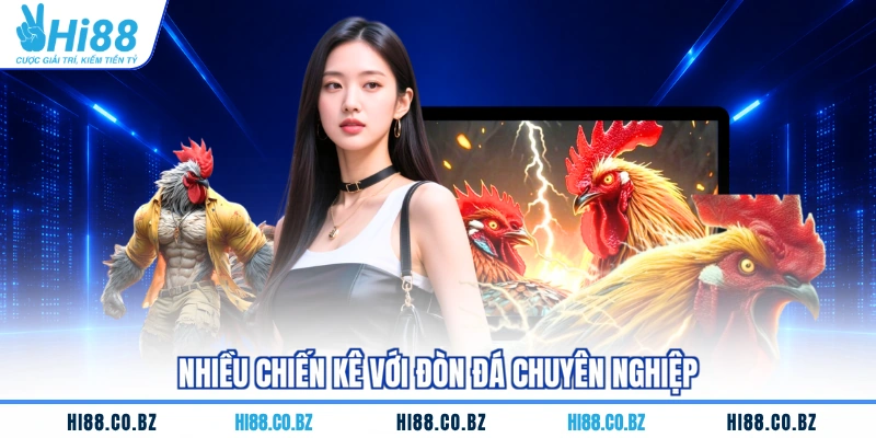 Nhiều chiến kê với đòn đá chuyên nghiệp