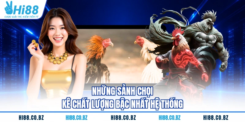 Những sảnh chọi kê chất lượng bậc nhất hệ thống