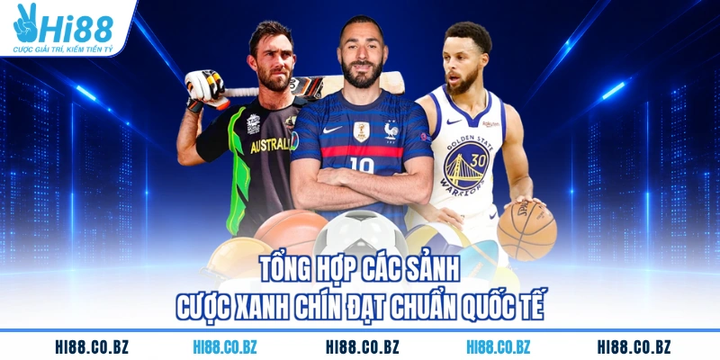 Tổng hợp các sảnh cược xanh chín đạt chuẩn quốc tế